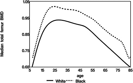 FIGURE 4-11 Bone density of the femur in the black and white population.