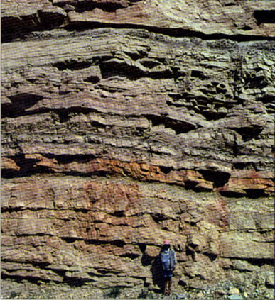 Sedimentary Rock Layers. Sedimentary rocks are formed