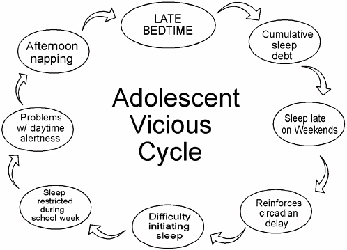 In Teen Sleep Cycles To 33