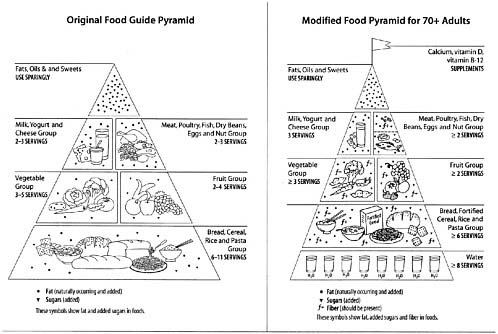 Healthy+food+pyramid+for+adults