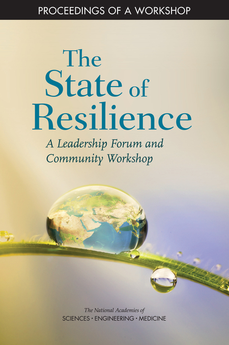 Cover: state of resilience 