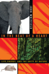 Link to Catalog page for In the Beat of a Heart:  Life, Energy, and the Unity of Nature