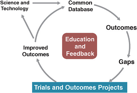FIGURE 3-2 The Society of Thoracic Surgeons evidence system model.