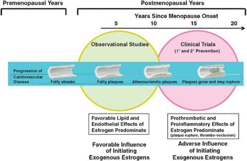 FIGURE 2-2 Schematic illustration of the interrelationships of timing of initiation of hormone therapy, vascular health, and clinical CHD outcomes.
