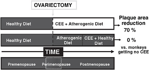 FIGURE 2-3 Role of timing of conjugated equine estrogen (CEE) initiation in relationship to ovariectomy in nonhuman primates.
