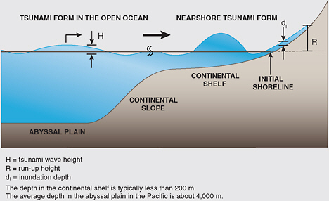 The definition of tsunami run-up height. SOURCE: Committee member.
