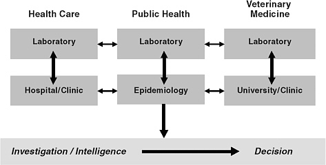 FIGURE 4-2 A schematic depiction of the relationships between functional components of biosurveillance and the associated flows of information. Information must flow effectively from the clinical and analytic elements of biosurveillance (the boxes in the upper portion of the figure) to the investigative and decision-making components of the public health system (the bar in the lower portion of the figure).