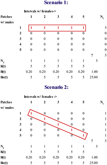 FIGURE 10.2 Instantaneous estimates of the operational sex ratio (OSR) during the breeding season fail to distinguish between males who mate and males who do not, and overestimate the intensity of sexual selection that exists over the entire breeding season. Shown are two scenarios illustrating a hypothetical breeding season in which 5 females mate with 5 males on territorial patches (rows). Within each jth interval of the breeding season (each column), the total number of receptive females, Nj, divided by the total number of males, Kt, equals Rt, the interval sex ratio, or the average number of females per male. The total number of males, Kt, divided by the total number of receptive females per interval, Nj equals the interval operational sex ratio, RO(t). In Scenario 1, each female mates with the same male in a different jth interval. In Scenario 2, each female mates in a different jth interval with a different male; each case generates identical and thus indistinguishable instantaneous and overall values for OSR (RO(j) = N♂/N♀(j) = 5; ΣRO(j) = 25; RO = N♂/N♀ = 5/5 = 1. Note that the sum of the instantaneous estimates of OSR, ΣRO(j), exceeds the overall estimate of OSR by 25-fold.