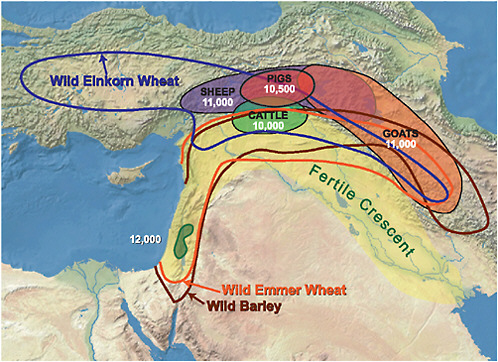 FIGURE 5.1 Map of the Near East indicating the Fertile Crescent [according to Breasted (1916)]. Shaded areas indicate the approximate areas of domestication of pig, cattle, sheep, and goats with dates of initial domestication in calibrated years b.p. [after Zeder (2008)]. Lines enclose the wild ranges of einkorn wheat, emmer wheat, and barley [after Smith, (1995)]. Shaded area in southern Levant indicates the region where all 3 grains were first domesticated 12,000 years B.P.