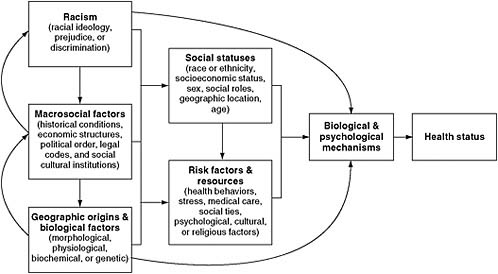 FIGURE 1-2 Williams, Lavizzo-Mourey, and Warren’s framework for understanding the relationships between race, medical/health care, and health.
