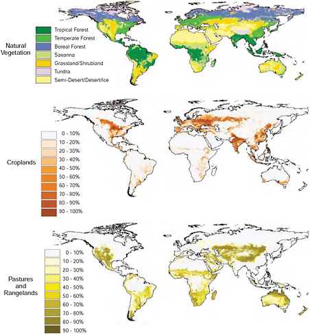FIGURE 1.3 Humans have transformed nearly all of Earth’s terrestrial surface. These maps illustrate the worldwide extent of human land-use and land-cover change: the geographic distribution of “potential vegetation” that would most likely exist in the absence of human land use (top); and the extent of agricultural land cover (including croplands and pastures) (middle and bottom) across the world during the 1990s. SOURCE: Foley et al. (2005). Reprinted with permission from AAAS.