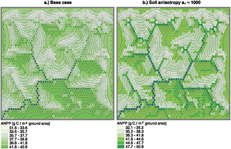 FIGURE 2.21 Model results showing annual net primary productivity of grass predicted on a landscape evolved from a specific set of erosion rules. SOURCE: Ivanov et al. (2008); reproduced with permission of the American Geophysical Union.