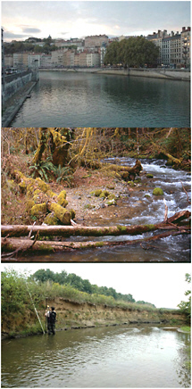 Top: La Saone River through Lyon, France, exemplifies a channelized urban river. Middle: Portland Creek in the Coast Ranges of Oregon is a product of centuries of removal and subsequent reintroduction of wood by management. Bottom: The incised meandering streams characteristic of the mid-Atlantic region of the eastern United States were once small anabranching channels that existed within extensive vegetated wetlands; photo shows Western Run at the upstream end of a mill pond. SOURCES: Top and middle used with permission from Anne Chin, University of Oregon. Bottom: from Walter and Merritts (2008); reprinted with permission from AAAS.