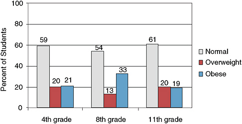 FIGURE 6-3 Overweight and obesity among schoolchildren in public health region 4-5N (including Rusk County), 2004–2005, as presented by Ladage.