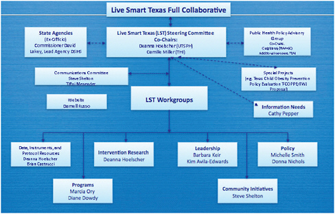 FIGURE 8-1 Live Smart Texas organizational chart, as presented by Hoelscher