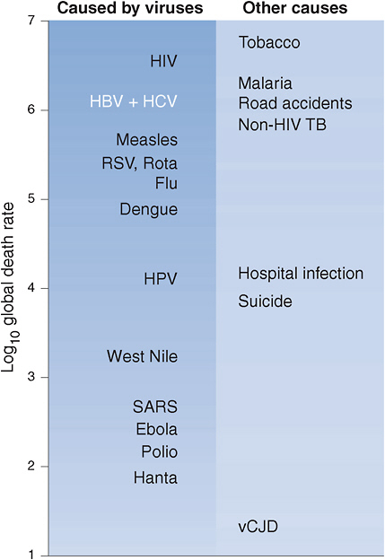 FIGURE 1-1 Approximate global preventable death rate from selected infectious diseases and other causes, 2003.
