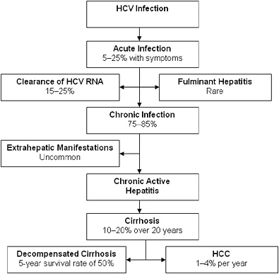 FIGURE 2-2 Natural progression of hepatitis C infection.