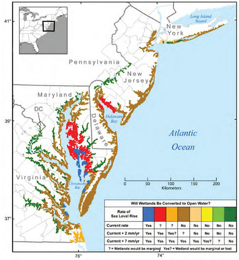 FIGURE 5-6 Mid-Atlantic wetland marginalization and loss as a consequence of sea-level rise. SOURCE: CCSP 2009, Fig. ES.2.