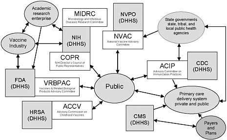Figure 1 This figure is intended to illustrate some aspects of the immunization system’s complexity, not to be a complete description of the system. A number of federal advisory committees exist to provide advice and guidance to agencies in the Department of Health and Human Services (DHHS). Several of these committees are associated with vaccine- or immunization-specific programs. Four such committees, as well as two additional relevant committees are depicted in the figure.