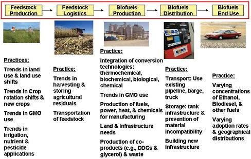 FIGURE 6 Practices and technologies of the biofuels supply chain.