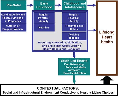 FIGURE 6.1 Growing toward heart health: Influences and opportunities into adulthood.