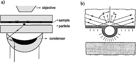 FIGURE 1 (a) Synge’s original proposal of near-field optical microscopy based on using scattered light from a particle as a light source. Source: Adapted from Synge’s letter to Einstein dated April 22, 1928, cited by Novotny, 2007b. (b) 1988 experiment in which the near-field probe consists of a gold-coated polystyrene particle. Source: Fischer and Pohl, 1989. Reprinted with permission.