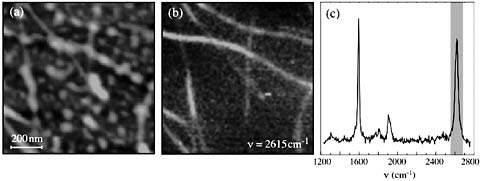 FIGURE 3 Near-field Raman imaging of a single-walled carbon nanotube sample. (a) Topography showing a network of carbon nanotubes covered with small droplets. (b) Raman image of the same sample area recorded by integrating, for each image pixel, the photon counts, which fall into a narrow spectral bandwidth centered around ν= 2615 cm−1 (indicated by shading in 3c). (c) Raman scattering spectrum recorded on top of the nanotube. Source: Adapted from Hartschuh et al., 2003.