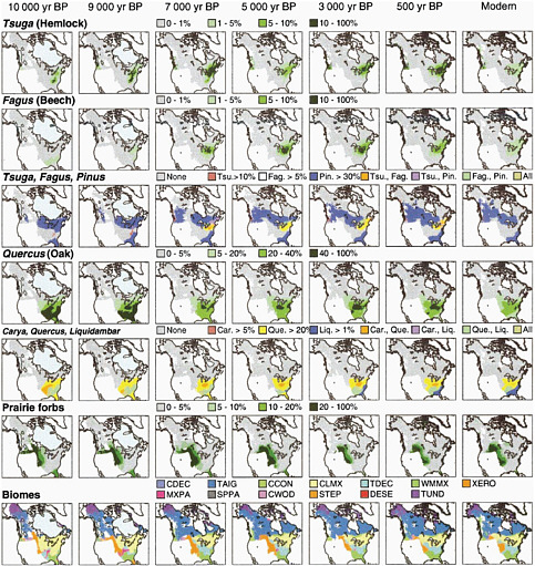 FIGURE 1.3 A mapped summary of changes in plant taxa distributions and biome distributions over the past 10,000 years based on sites in the North American Pollen Data Base. NOTES: CCON = cool conifer forest, CDEC = cold deciduous forest, CLMX = cool mixed forest, CWOD = conifer woodland, DESE = desert, MXPA = mixed parkland, SPPA = spruce parkland, STEP = steppe, TAIG = taiga, TDEC = temperate deciduous forest, TUND = tundra, WMMX = warm mixed forest, XERO = xerophytic scrub. SOURCE: Williams et al. (2004).