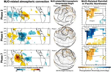 FIGURE 4.5 Example of the relationship among tropical outgoing long-wave radiation (OLR, left column), which is used to define the phase of the MJO, wintertime (JFM) 500-hPa geopotential height anomalies (middle column), and precipitation anomalies (right column). For example, Phase 5 (the middle row) of the MJO exhibits enhanced convection over the Maritime Continent that is accompanied by deep-troughing in the mid-troposphere over the North Pacific and enhanced precipitation in the Pacific Northwest. SOURCE: Adapted from Bond and Vecchi (2003).