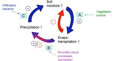 FIGURE 4.9 Simplified schematic showing how soil moisture anomalies can feed back on precipitation. In segment A of the cycle, a positive soil moisture anomaly leads to a positive evaporation anomaly (assuming evaporation is in a soil moisture-limited regime), and this in turn reduces the positive soil moisture anomaly. In segment B, a positive evaporation anomaly can lead to a positive precipitation anomaly, though in certain situations, it can instead lead to a negative precipitation anomaly. In segment C, a positive precipitation anomaly leads to a positive soil moisture anomaly. SOURCE: Seneviratne et al. (2010).