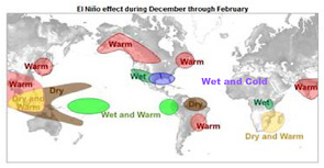 FIGURE 1.3 Patterns of anomalous temperature and precipitation during an El Niño episode for the Northern Hemisphere winter. SOURCE: Adapted from CPC/NCEP/NOAA.