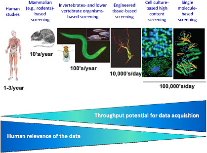 FIGURE 4 Throughput potential for data acquisition as related to levels of biologic organization. As the human relevance increases the throughput potential decreases. Source: NIEHS, unpublished data. I. Rusyn, University of North Carolina at Chapel Hill, presented at the symposium.