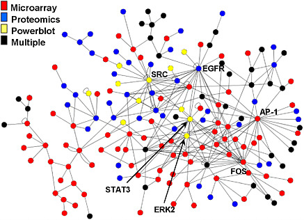 FIGURE 12 Integrated data provide more comprehensive and accurate network reconstruction. Black nodes represent genes or proteins that were measured with more than one technology. Red, blue, and yellow nodes represent genes or proteins measured with individual technology indicated in the figure. Source: Waters and Thrall, unpublished data, presented at the symposium. Reprinted with permission; copyright 2010, Pacific Northwest National Laboratory.