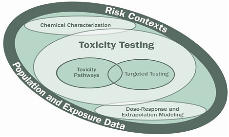 FIGURE 1 Components of the vision described in the report, Toxicity Testing in the 21st Century: A Vision and a Strategy. Source: NRC 2007a. K. Boekelheide, Brown University, presented at the symposium.