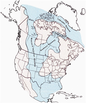 FIGURE 2.2 Illustration of the Cretaceous interior seaways, including the Western, Hudson, and Labrador seaways. The Cretaceous Period lasted from about 145 million to 65 million years ago. Coal-bearing basins in the western United States that are the subject of this report formed from organic-rich sediments (plant material) deposited in and along the wetlands of the Western Interior Seaway. The organic-rich sediments were deposited through Cretaceous and Paleocene (ca. 65 million to 56 million years ago) times during the rise and fall of intercontinental sea levels. SOURCE: W.A. Cobban and K.C. McKinney, USGS. Available at esp.cr.usgs.gov/research/fossils/ammonites.html.