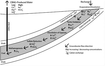 FIGURE Conceptual diagram of the geochemical evolution of CBM waters in the Powder River Basin shows biogeochemical processes that occur during the flow of groundwater from recharge areas downward through a coalbed to the point of extraction from a CBM well. Oxidation of the mineral pyrite, for example, may release iron and sulfate, while dissolution of the mineral gypsum may release calcium and sulfate. Reduction of sulfate at greater depths may result in release of bicarbonate. Methanogenesis results in the release of methane within the coal. SOURCE: Brinck et al. (2008). © 2008 by American Association of Petroleum Geologists. Reproduced by permission of AAPG whose permission is required for further use.