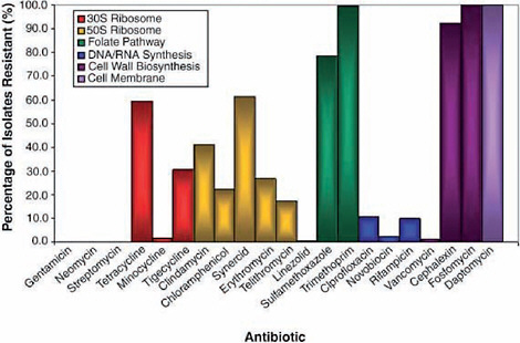 FIGURE WO-5 Survey of 480 soil actinomycetes and their level of resistance to each antibiotic of interest.