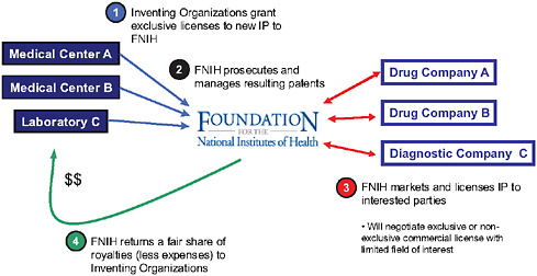 FIGURE 5 The approach to new intellectual property (IP) in the I-SPY 2 TRIAL. In I-SPY 2, inventing organizations grant exclusive licenses to new IP to the Foundation for the National Institutes of Health (FNIH), with the FNIH prosecuting and managing resulting patents. FNIH will then market and license IP to interested parties and return royalties to the inventing organizations, less expenses.