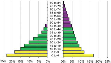 FIGURE 11.1 Female age structures modeled from life tables. Each bar shows the percentage of the population in the 5-year age class indicated in the vertical axis. Lightest bars, juvenile years; medium-gray bars, childbearing years; darkest bars, post-fertile years. Humans are on the right, represented by Hadza huntergatherers with Blurton Jones’s (2002) data. In this population, life expectancy at birth is 33 years. With growth rate 1.3%/year, 32% of the women (those over 15) are past the age of 45. Growing populations are younger because more are born than die. If this population was stationary, the percentage of adult women past the age of 45 would be 39% (Hawkes and Blurton Jones, 2005). The left side of the figure represents the synthetic wild chimpanzee population constructed by Hill and colleagues (2000) using data from five wild study sites. Average age at first birth is 13 in wild chimpanzees so the 10- to 14-year age class is included in the childbearing years. Fertility ends by ~45 in both species. Less than 3% of the adult chimpanzees (counted as those over 10 years) are past the age of 45. The chimpanzee model assumes a stationary population.
