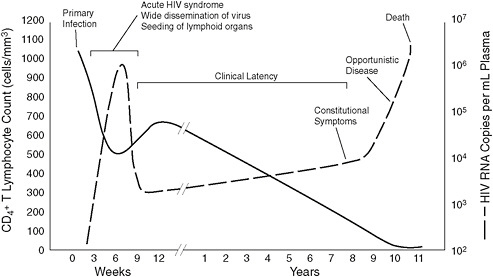 FIGURE 3-1 Time-based progression of untreated HIV infection demonstrated by CD4 count and viral load.