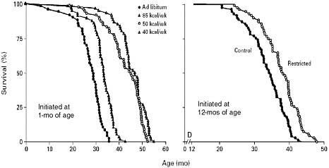 FIGURE 5-3 Survival of rodents placed on ad libitum versus calorie restricted diets. This evidence suggests that long term caloric restriction without malnutrition may extend healthspan and maximal lifespan in rodents.