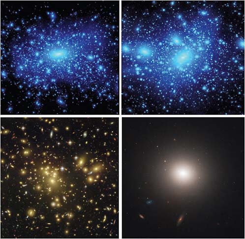 FIGURE 3.6 Top: Simulated cluster-scale (left) and galaxy-scale (right) dark matter halos look quite similar, despite differing in mass by two orders of magnitude. The regions shown are at comparable contrast and resolution and correspond to approximately 2 virial diameters around each halo. Bottom: Hubble Space Telescope images of galaxy cluster Abell 1689 (left) and of galaxy NGC4458 (right). In the actual data, the observed number of satellites is dramatically different for the two observed systems, even though the dark matter substructure is predicted to be virtually indistinguishable. SOURCE: Top: Courtesy of Andrey Kravtsov (University of Chicago), Anatoly Klypin (New Mexico State University), and Stefan Gottloeber (AIP, Potsdam, Germany). Bottom left: Courtesy of NASA, ESA, Richard Ellis (Caltech), Jean-Paul Kneib (Observatoire Midi-Pyrenees, France), A. Fruchter, and the ERO Team (STScI and ST-ECF). Bottom right: Courtesy of NASA, ESA, E. Peng (Peking University, Beijing), and the ACS Virgo Cluster Survey Team.