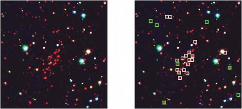 FIGURE 3.9 Massive red-sequence-selected galaxy cluster at z ~ 1.2, detected in an optical/infrared survey. Left: Color composite of the cluster combining Canada-France-Hawaii Telescope Megacam R- and z-band images with Spitzer Infrared Array Camera 3.6-μm images. The cluster of massive, old red galaxies is easily visible. Right: Spectroscopically confirmed cluster members are marked with white squares; background and foreground galaxies are indicated with green circles. The photometric redshifts agree well with the spectroscopic redshifts, validating their use and enabling large surveys for high-redshift clusters; however, the mass of the cluster estimated from the light in the galaxies does not seem to agree with scaling relations from lower-redshift clusters. This color selection technique makes it possible to study cluster evolution out to quite high redshifts. SOURCE: A. Muzzin, G. Wilson, H.K.C. Yee, H. Hoekstra, D. Gilbank, J. Surace, M. Lacy, K. Blindert, S. Majumdar, R. Demarco, J.P. Gardner, M. Gladders, and C. Lonsdale, Spectroscopic confirmation of two massive red-sequence-selected galaxy clusters at z ~ 1.2 in the SpARCS-North Cluster Survey, Astrophysical Journal 698(2):1934-1942, 2009, reproduced by permission of the AAS.