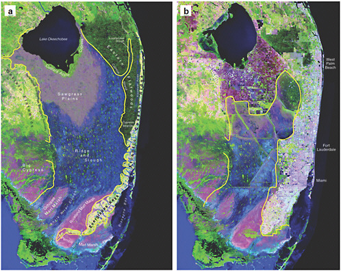 FIGURE 1-1 Reconstructed (a) pre-drainage (circa 1850) and (b) current (1994) satellite images of the Everglades ecosystem.