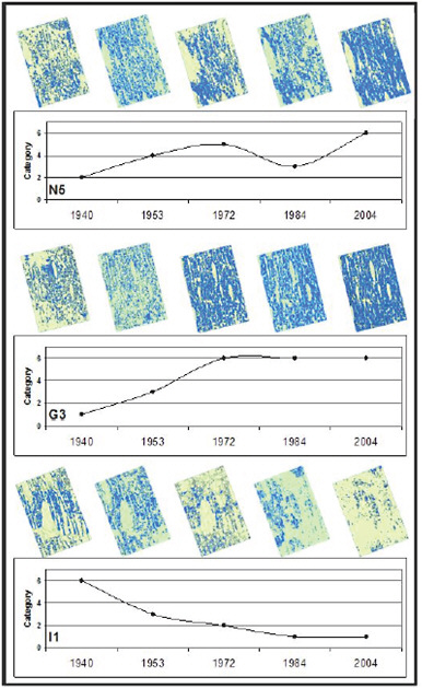 FIGURE 2-12 The historical changes in ridge and slough patterning are displayed for the years 1940, 1953, 1972, 1984, and 2004 for three study plots (labeled N5, G3, and I1) located in WCA-3A. The highest value (6) on the y-axis represents strong and linear landscape patterns. High values indicate a landscape that strongly exhibits the general characteristics of ridge and slough landscapes. Plot N5 is in central WCA-3B, adjacent to the L-67 levees; G3, lies in the southern portion of WCA-3; and I1 is located in the north central part of WCA-3A, north of Alligator Alley.