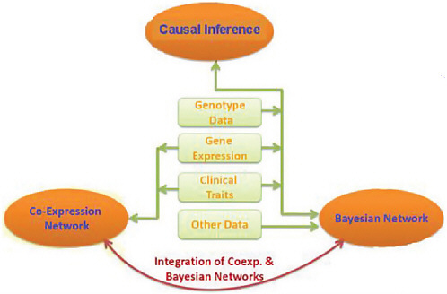 FIGURE 4-3 Integration of genotypic, gene expression, and trait data.