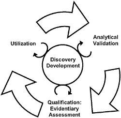 FIGURE 2-1 The steps of the evaluation framework are interdependent. While a validated test is required before qualification and utilization can be completed, biomarker uses inform test development, and the evidence suggests possible biomarker uses. In addition, the circle in the center signifies ongoing processes that should continually inform each step in the biomarker evaluation process.