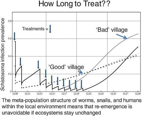 FIGURE A12-6 How long to treat: Without some modification of the local ecological factors that favor Schistosoma transmission (sewage contamination, snail habitat, and local surface water use) there is a tendency for local levels of schistosomiasis to recur within 10 to 15 years of stopping a drug treatment campaign.