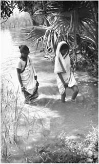 FIGURE A15-6 Women walking in river, South Asia.
