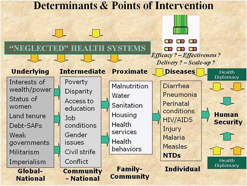 FIGURE A20-2 Overview of points of intervention to address disease and improve health security.